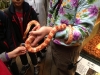 IMG_4415 (640x480)